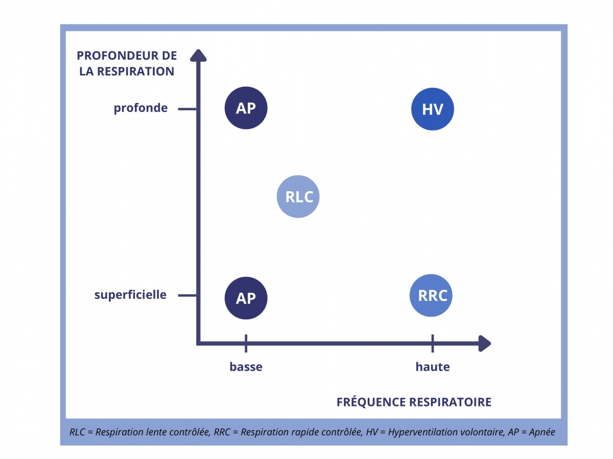 Techniques de respiration en fonction de la fréquence et de la profondeur de la respiration Techniques de respiration en fonction de la fréquence et de la profondeur de la respiration